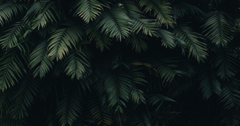 ISO 14001 — wdrożenie systemu zarządzania środowiskowego w organizacji