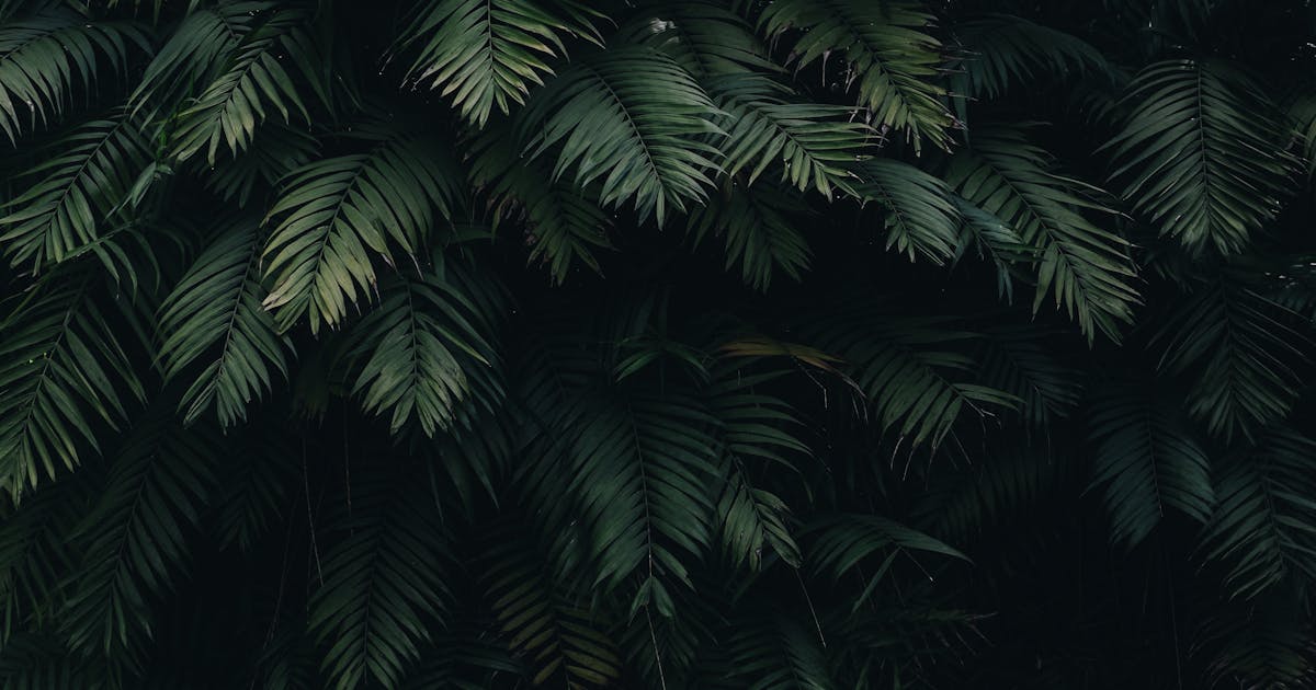 ISO 14001 — wdrożenie systemu zarządzania środowiskowego w organizacji